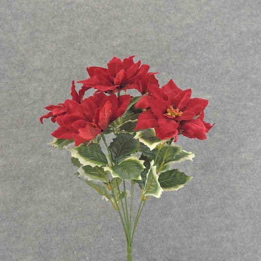 [XE6052] POINSETTIA VELVET BUSH X9 14" RED W/HOLLY LV