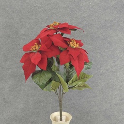 [XE6083] 19&quot; RED POINSETTIA BUSH X5 9&quot;dia BLMS