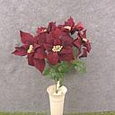 [XN8008-BUR] POINSETTIA BUSH NON-BLEED X5 BURGUNDY