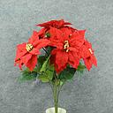 [XN8009] POINSETTIA BUSH NON-BLEED X7 RED