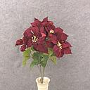 [XN8009-BUR] POINSETTIA BUSH NON-BLEED X7 BURGUNDY