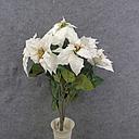 [XN8009-WHT] POINSETTIA BUSH NON-BLEED X7 WHITE