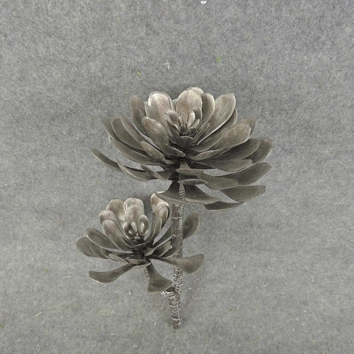 [XB7006-SIL] SUCCULENT PICK 11" X2  SILVER