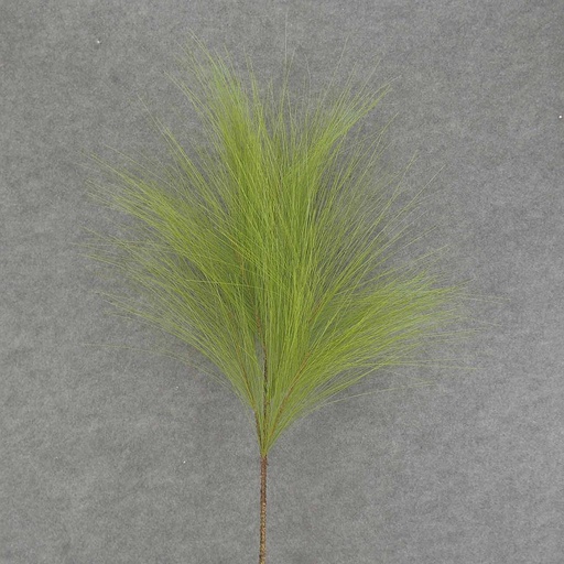[XB6244] PINE SPRAY X6 36" LONG NEEDLES