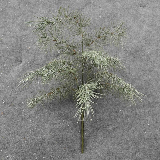 [XB8031] PINE SPRAY PLASTIC 19"