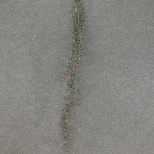 [XL7040] PINE GARLAND W/BERRIES 43"