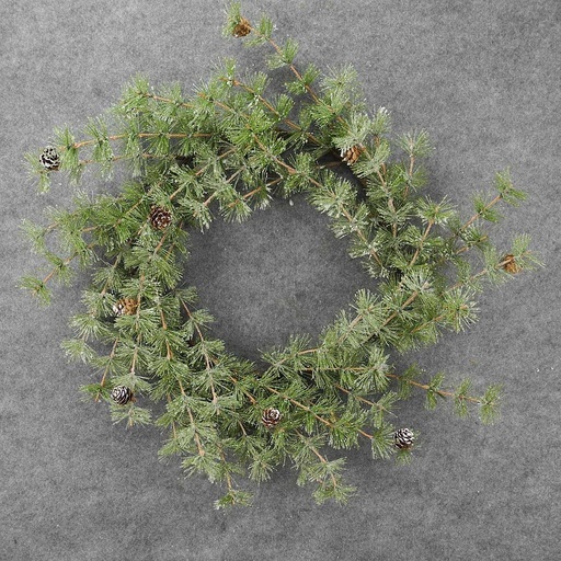 [XL8008] WREATH MING PINE W/CONES 24"