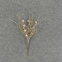 [XB6154-PTN] BERRY/TWIG PICK 12" (6/BAG) W/GLITTER  PLATINUM