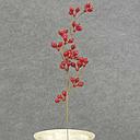 [XE5111] BERRIES RED PICK 9" (12/BAG) OUTDOOR