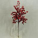 [XG360] BERRY SPRAY 22"      RED