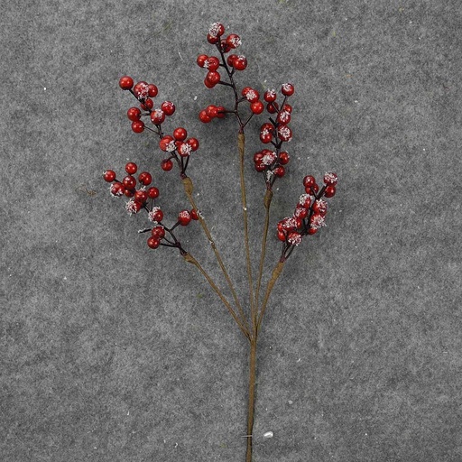 [XL8055] BERRY PICK 14" W/FROST