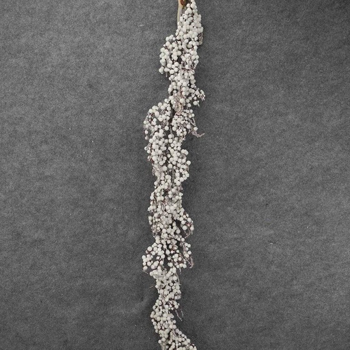 [XL8058] BERRY GARLAND 60" WHITE