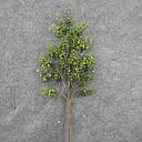 [XB8048] EUCALYPTUS SPRAY 22.5" FROSTED PLASTIC