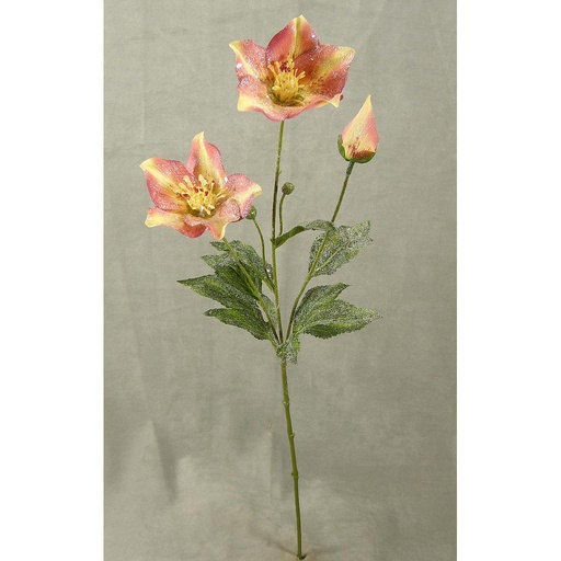 [XE3104-MAV] HELLEBORUSx2 FLOWER + 1 BUD 25" W/FROST MAUVE