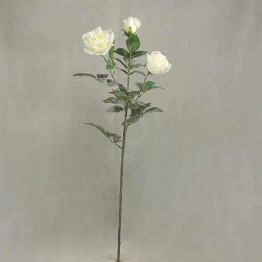 [XE393] ROSE DIAMOND X3 HIGH PONGEE 33" CREAM