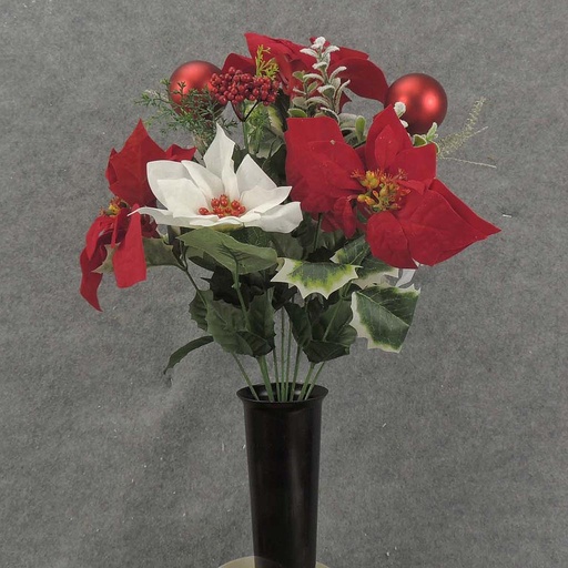 [XE6066C-RDW] POINSETTIA/PINE/BALL BUSH IN/CON