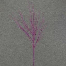 [XE4088-FUS] TWIG 29&quot; GLITTER     FUSCHIA