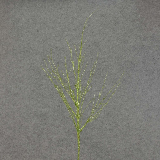 [XE4088-LGN] TWIG 29" GLITTER    LT. GREEN