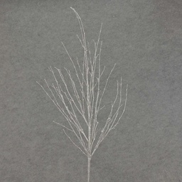 [XE4088-SIL] TWIG 29" GLITTER  SILVER