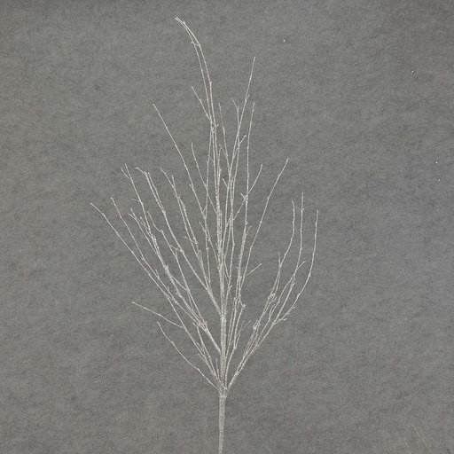 [XE4088-SIL] TWIG 29" GLITTER  SILVER