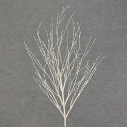 [XE4088-WHT] TWIG 29" GLITTER  WHITE