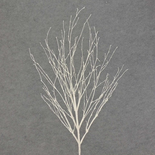 [XE4088-WHT] TWIG 29" GLITTER  WHITE
