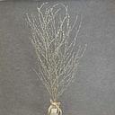 [XE5048] TWIG BRANCHES BUNDLE 40" SEQUIN