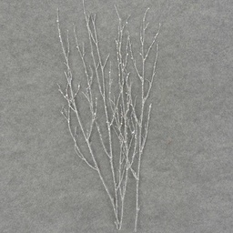 [XL6037-SIL] TWIG SPRAY W/GLITTER 4/BAG 24"  SILVER