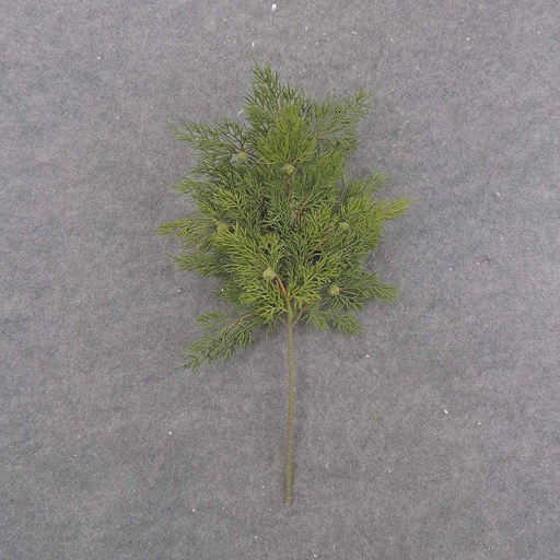 [XE9014] PINE/CEDAR SPRAY 20"