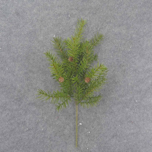 [XE9018] HEMLOCK SPRAY
