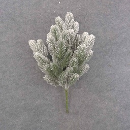[XE9033] PINE BUSH X6 19&quot; FLOCKED