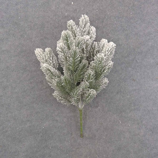[XE9033] PINE BUSH X6 19" FLOCKED