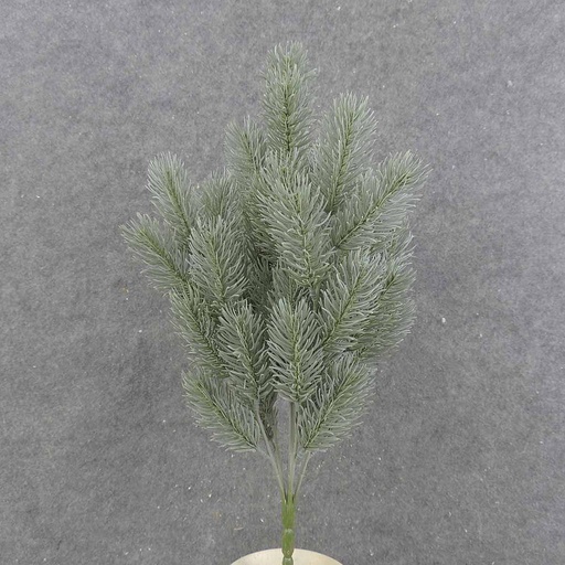 [XE9034] PINE BUSH X6 19" (51 TIPS)