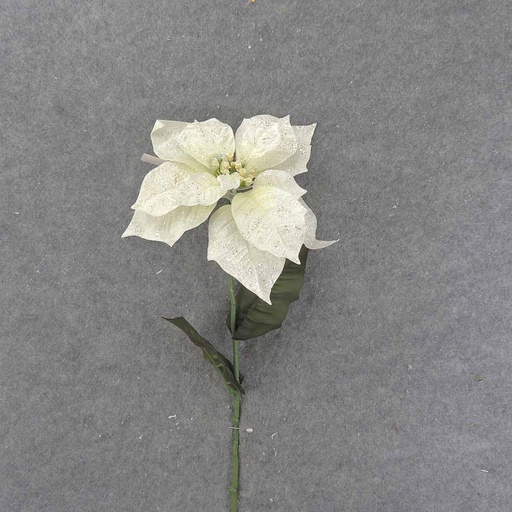 [XE9039] POINSETTIA STEM (10"dia) 26" W/ LEAVES CREAM