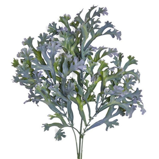 [SB0002] 31" STAGHORN FERN SPRAY 