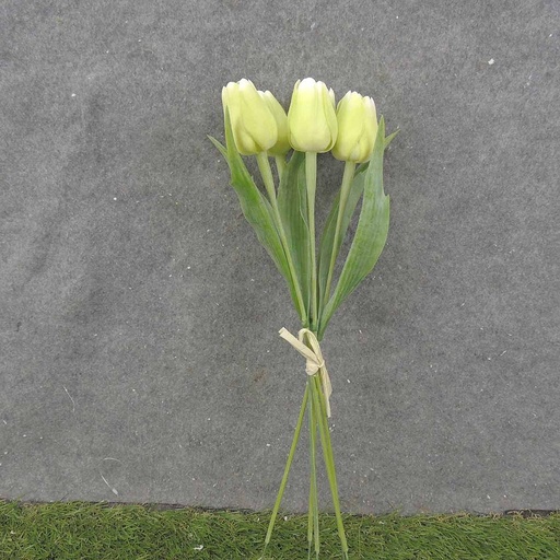 [SB0010-LGN] TULIP BUNDLE X5 17" LIGHT GREEN (PLASTIC)