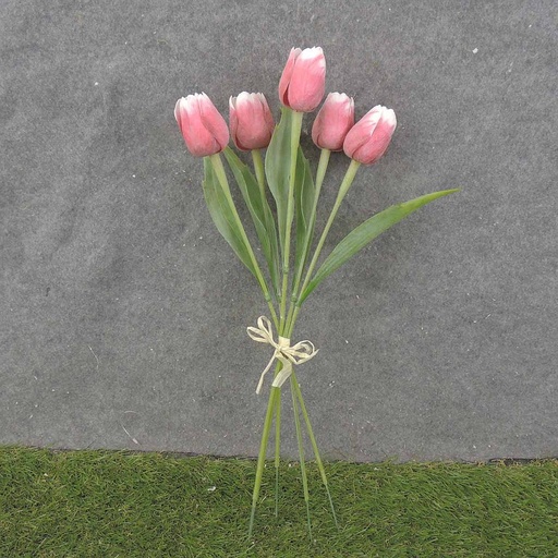 [SB0010-RWH] TULIP BUNDLE X5 17" RED/WHITE (PLASTIC)