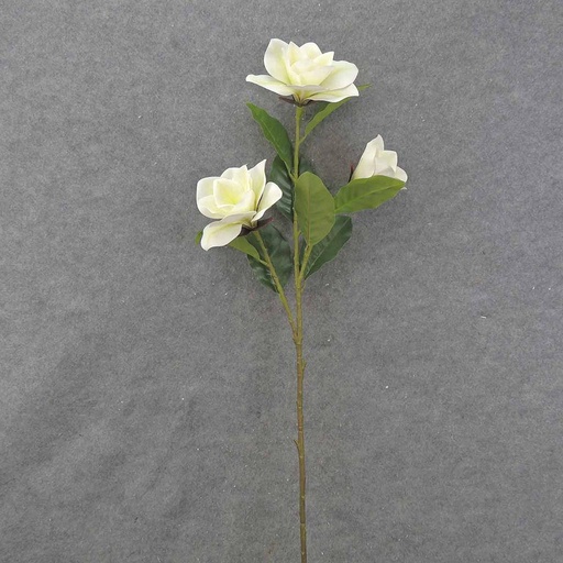 [SB0028-CWH] MAGNOLIA BLOOM SPRAY X3 38" CREAM/WHITE