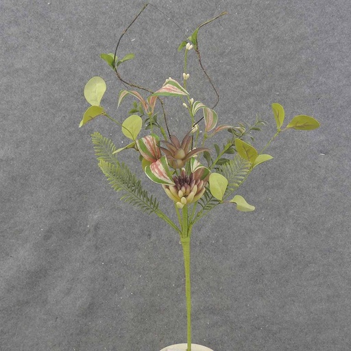 [SA0022] MIXED FOLIAGE/SUCCULENT BUSH 21"