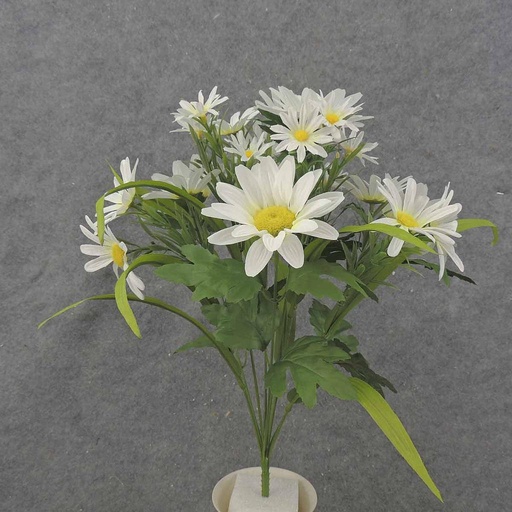 [SB0074-CWH] MIXED DAISY BUSH X10 18.5" CREAM/WHITE