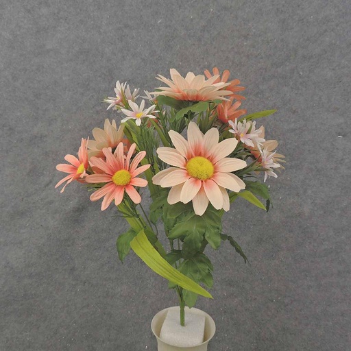 [SB0074-PPH] MIXED DAISY BUSH X10 18.5" PINK/PEACH