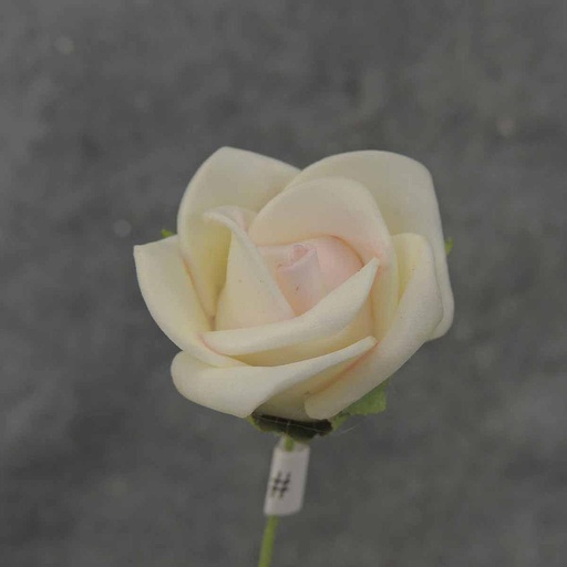 [SA0059-CPK] MINI ROSE BUNDLE X12  CREAM/PINK