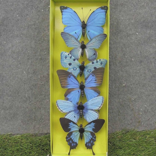 [SA0031-M] 3" BUTTERFLIES BLUE ASSORTED PRINTED