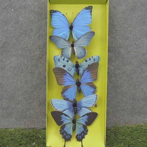[SA0031-L] 4.25" BUTTERFLIES BLUE ASSORTED PRINTED