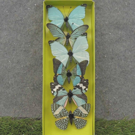[SA0033-M] 3" BUTTERFLIES BLUE/GREEN ASSORTED PRINTED