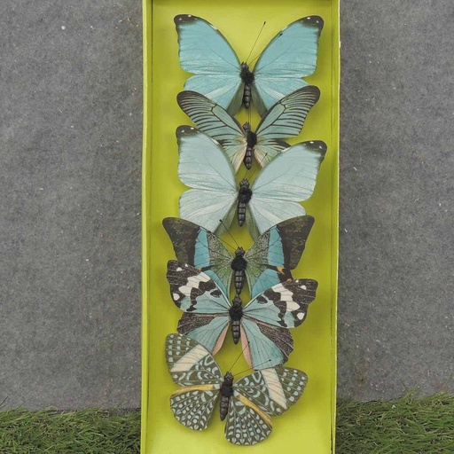 [SA0033-L] 4.25" BUTTERFLIES BLUE/GREEN ASSORTED PRINTED