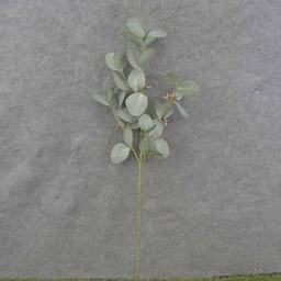 [SB0055] EUCALYPTUS SPRAY X4 29&quot; SEEDED