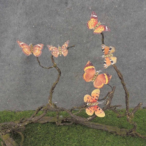 [BN0008] 2.25" 6-ASSORTED BUTTERFLIES W/GEMS  ORANGE MIX W/CLP