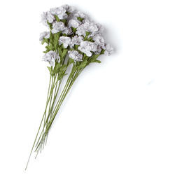 [S7008-GRA] CARNATION X 3 LIGHT GRAY