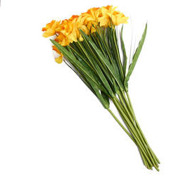 [S702362-YEL] DAFFODIL 28.5" SPRAY X2 YELLOW